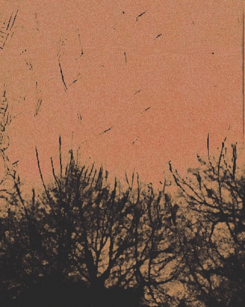 Life (USA-2) : Demo Three